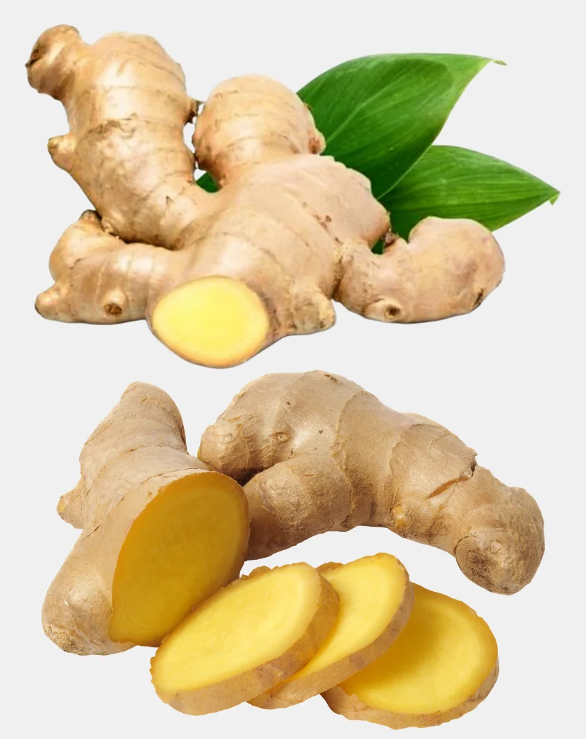 Ginger