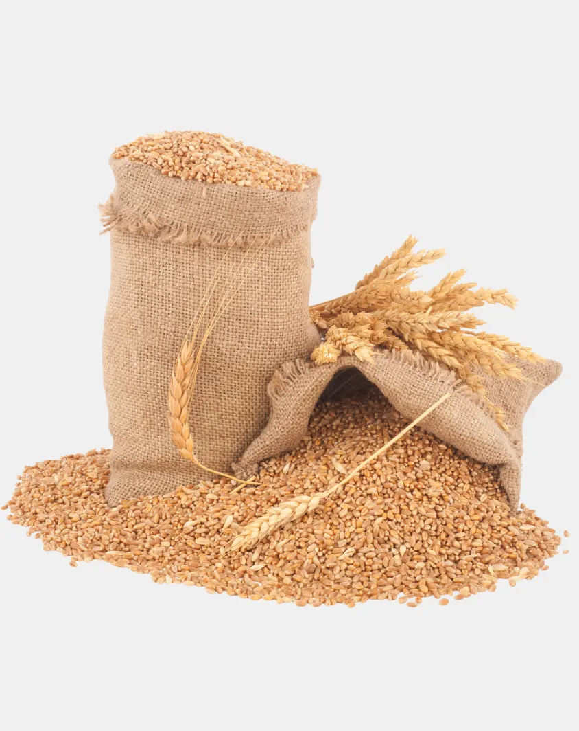 Wheat